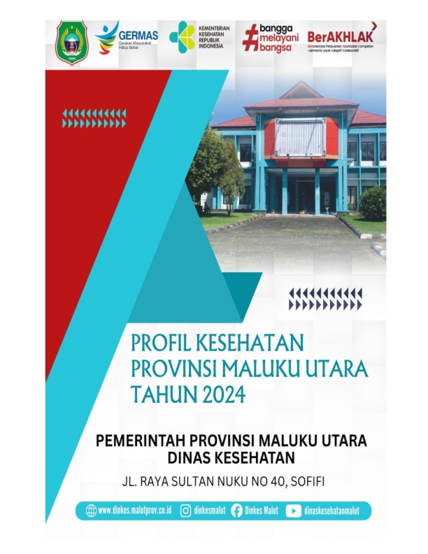 Profil Kesehatan Tahun 2024